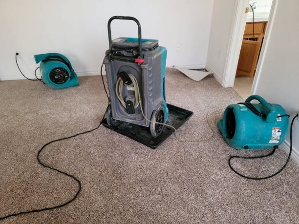 Best Residential water damage restoration  in Loving, NM