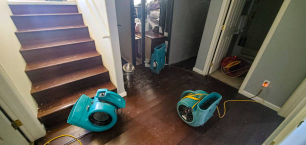 Best Water damage restoration near me  in Loving, NM