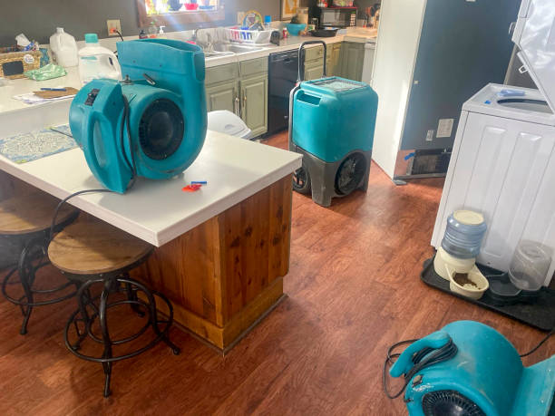 Best Sewage cleanup and water damage restoration  in Loving, NM