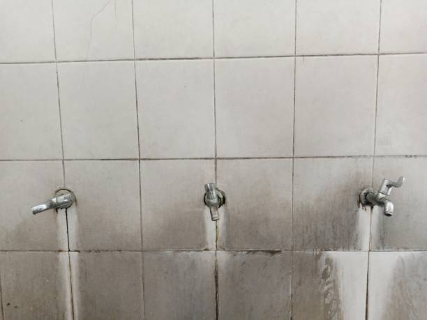 Best Flood restoration services  in Loving, NM