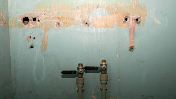 Best Local water damage restoration  in Loving, NM