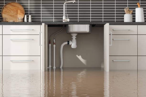 Best Water damage restoration insurance claims  in Loving, NM