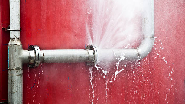 Best Carpet water damage restoration  in Loving, NM